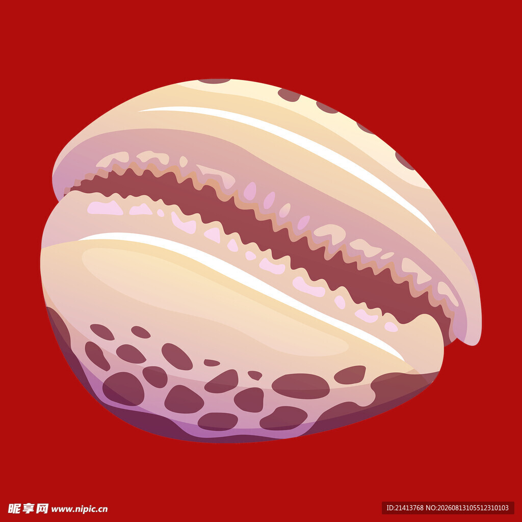 卡通贝壳插画