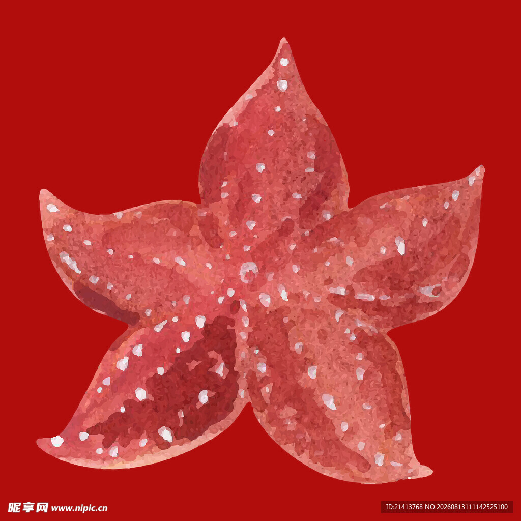 透明海星装饰闪亮点缀