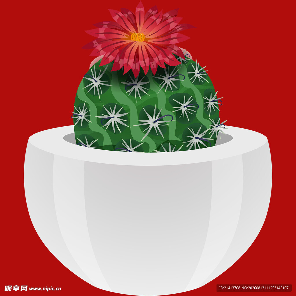 白色花盆中的仙人掌花朵
