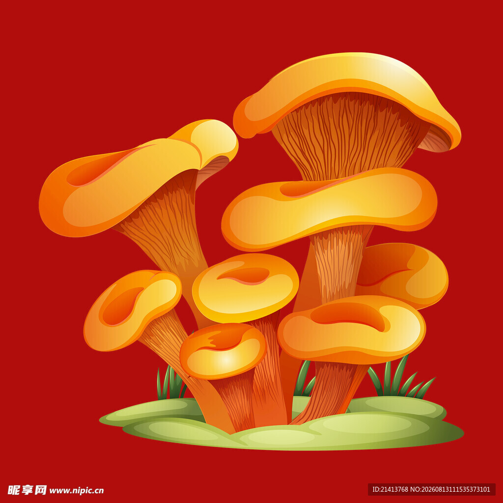橙色蘑菇插画