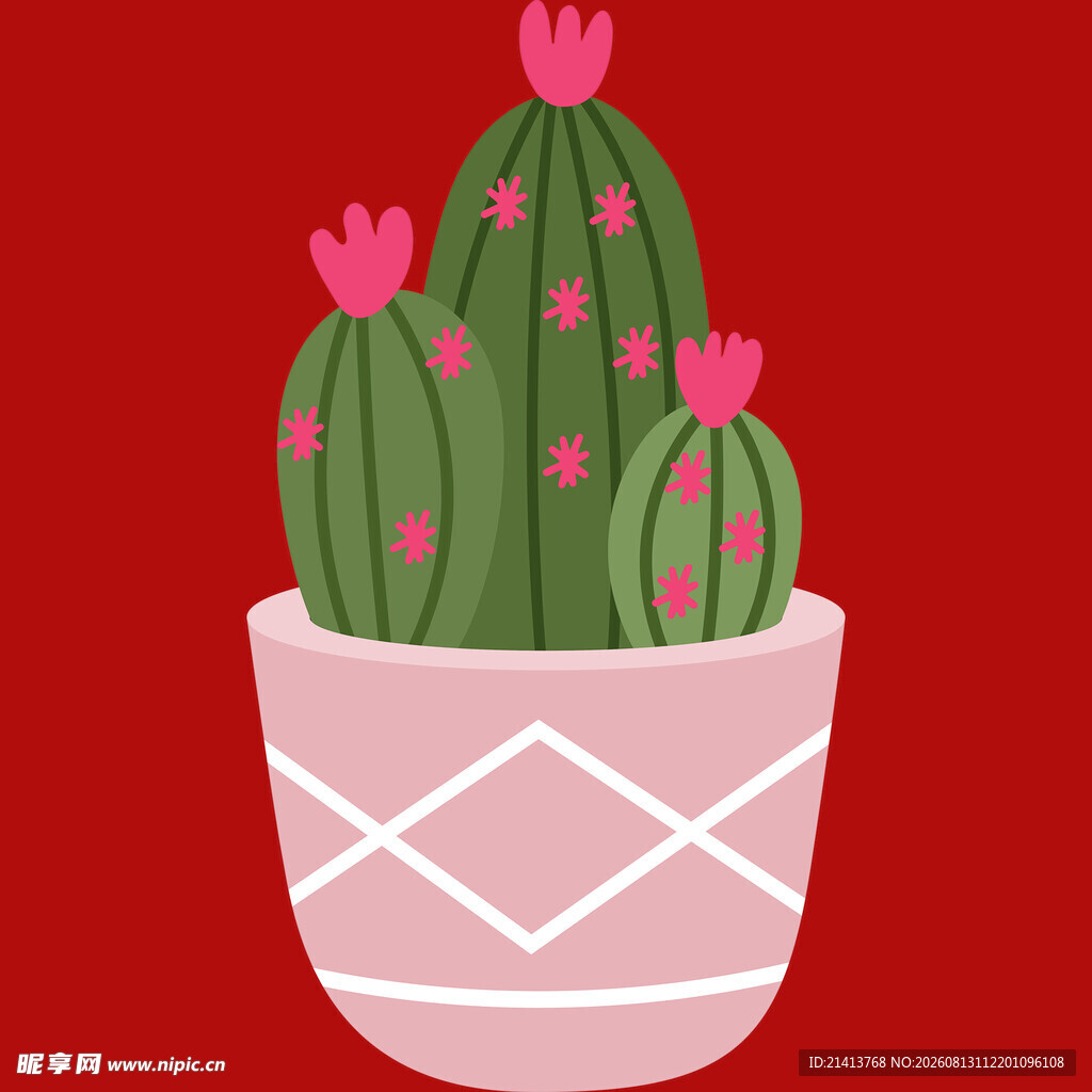粉色花盆中的可爱仙人掌