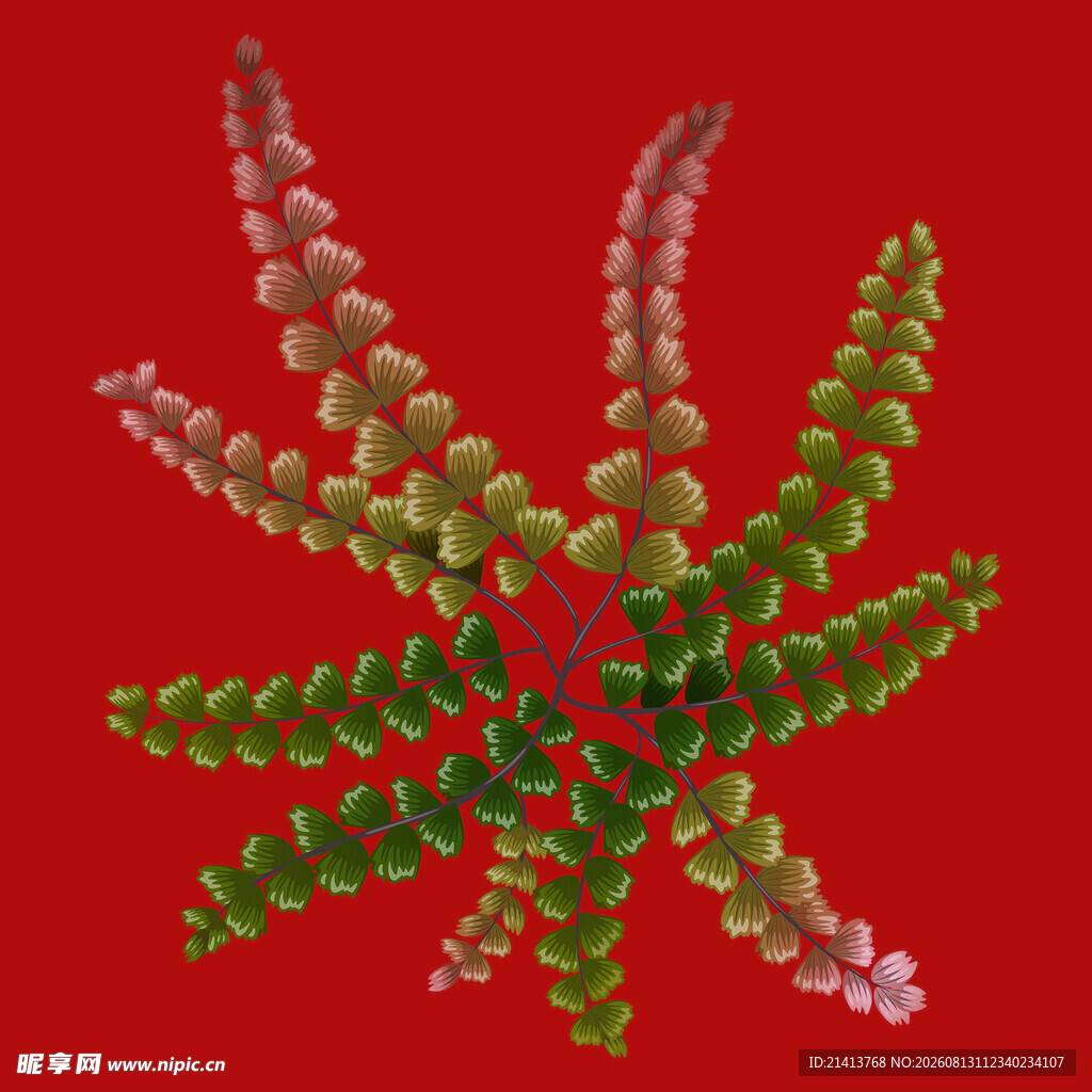 红色背景下的多彩螺旋植物