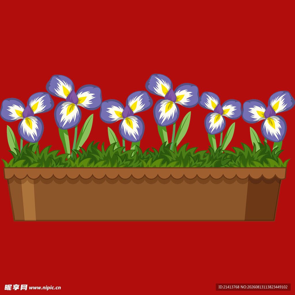 红色背景中的花盆花卉