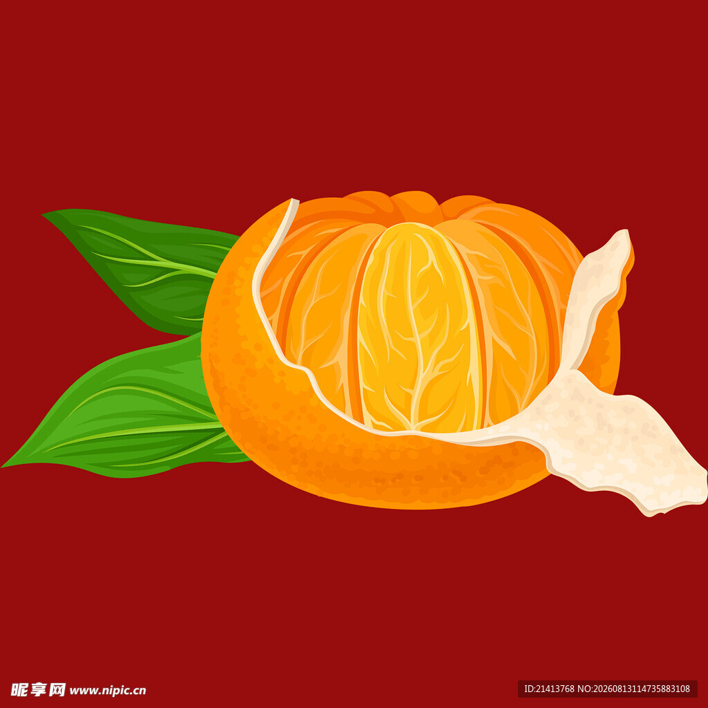 剥开的新鲜橘子插画