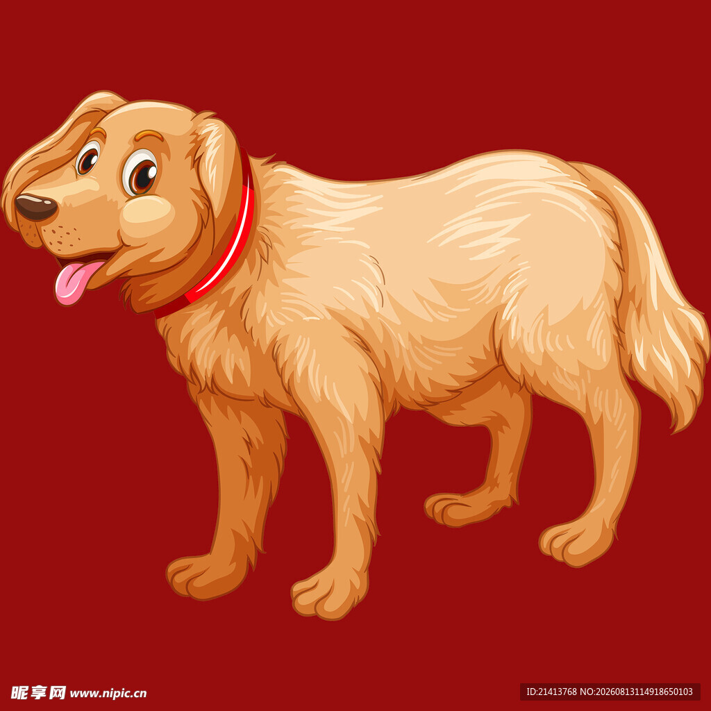 可爱金毛犬插画