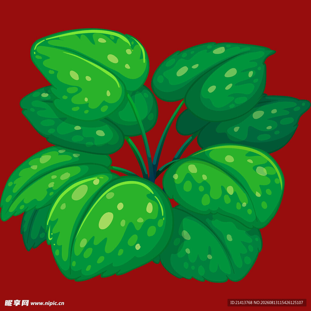 翠绿带斑叶片插画