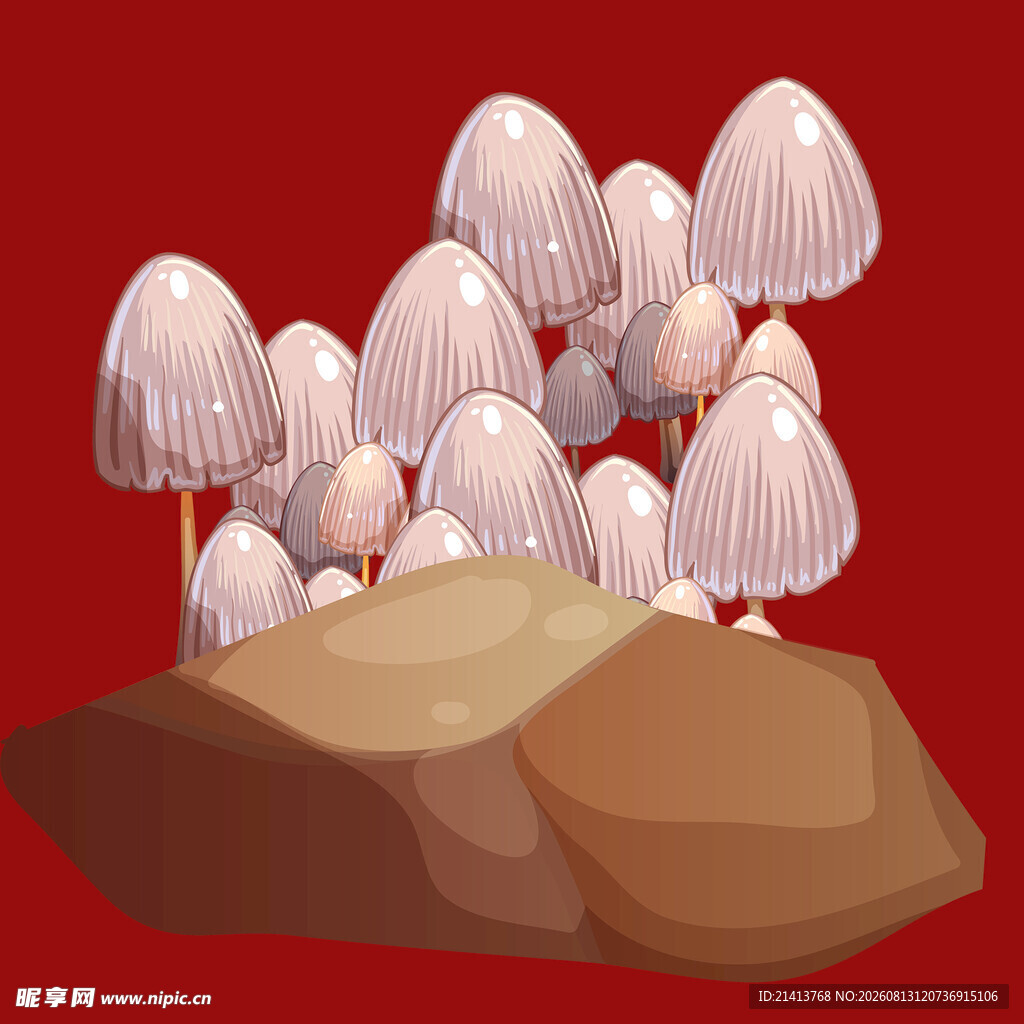 岩石旁的可爱蘑菇群