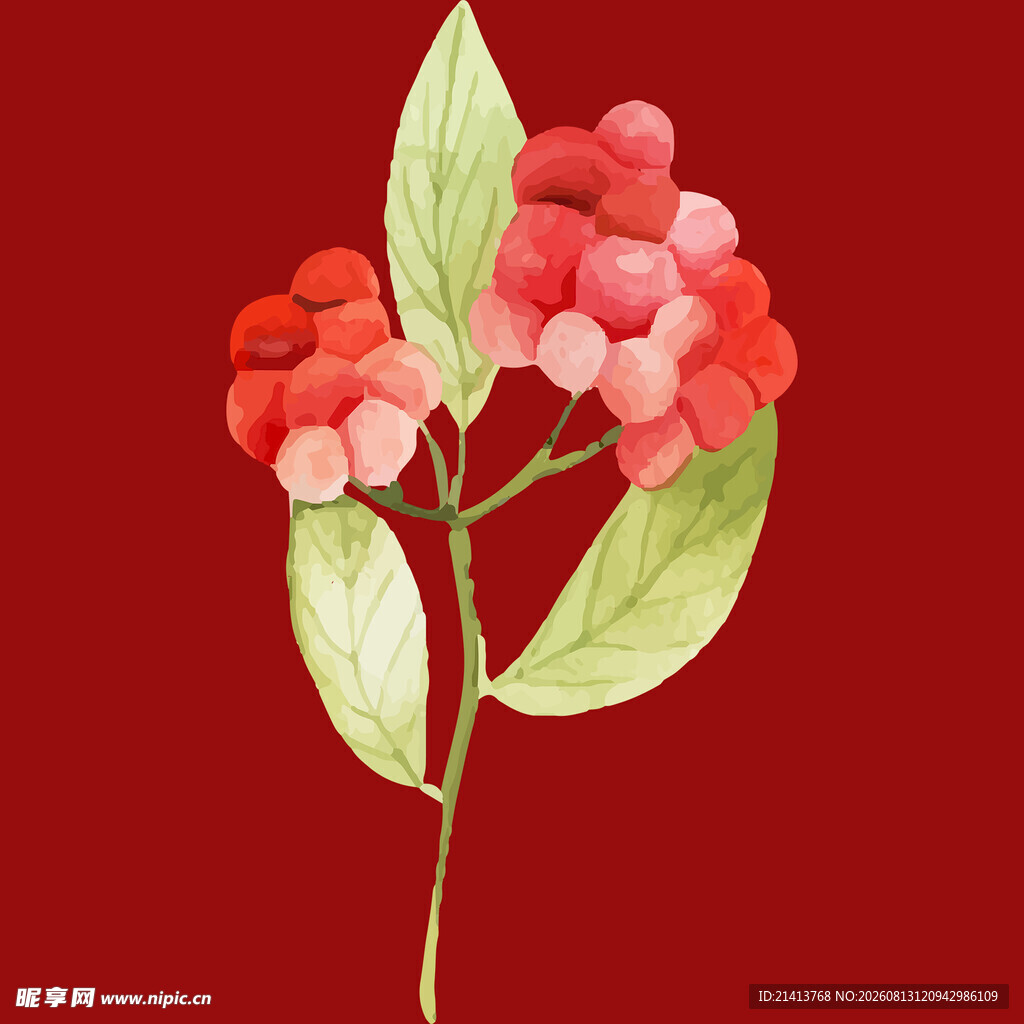红色花卉插画清新雅致