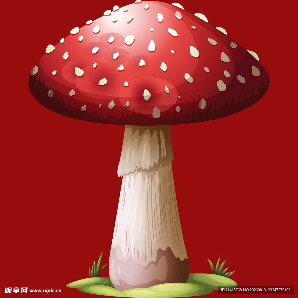 红色斑点蘑菇插画