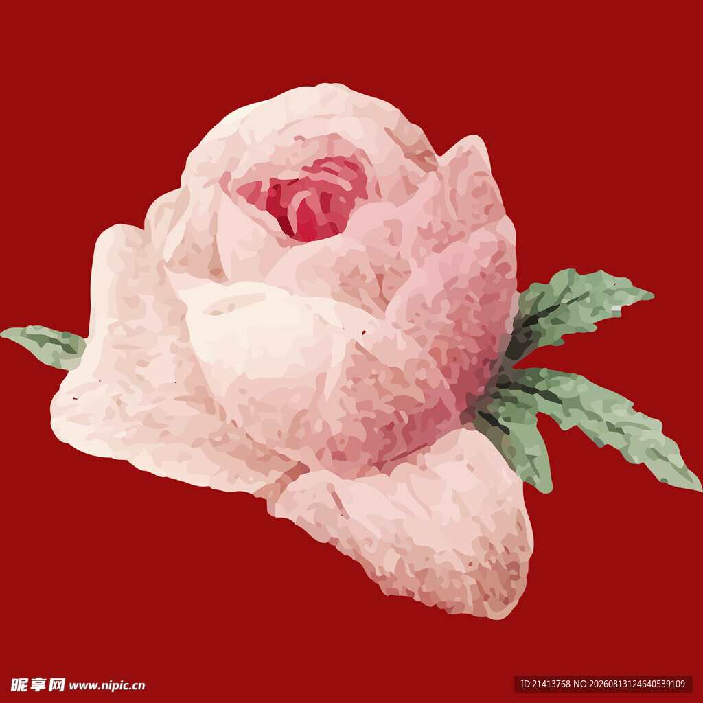 复古风粉色玫瑰花插画