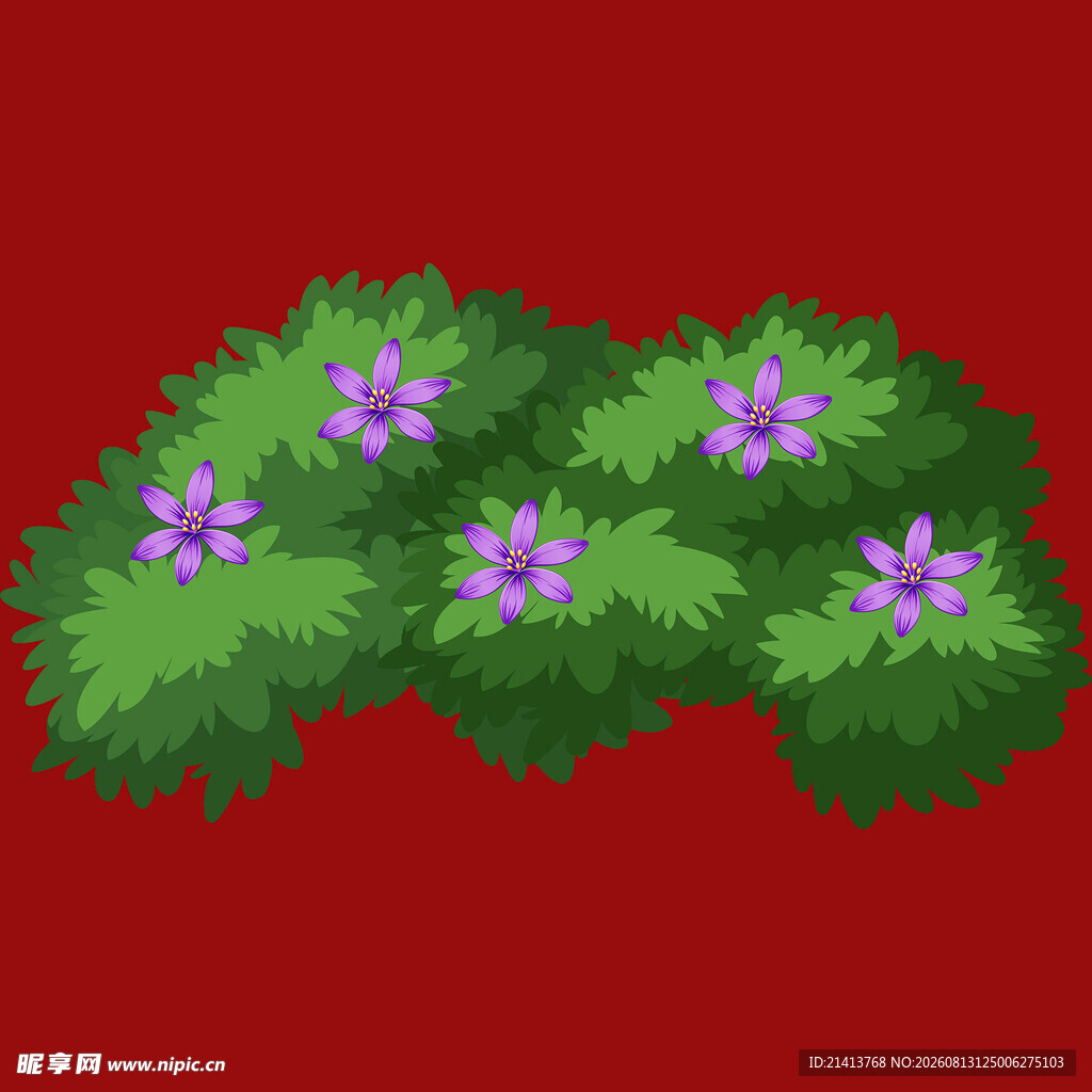 红色背景上的紫花绿植
