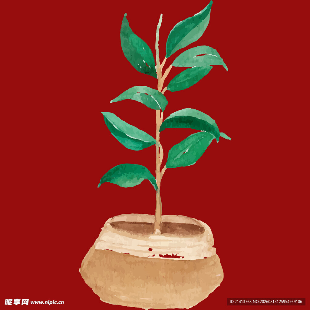 盆栽绿植生机盎然