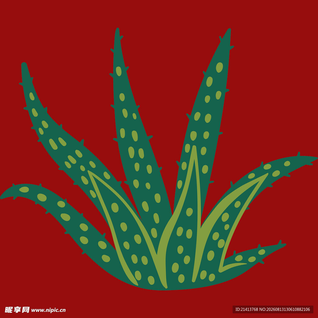 手绘芦荟植物图案