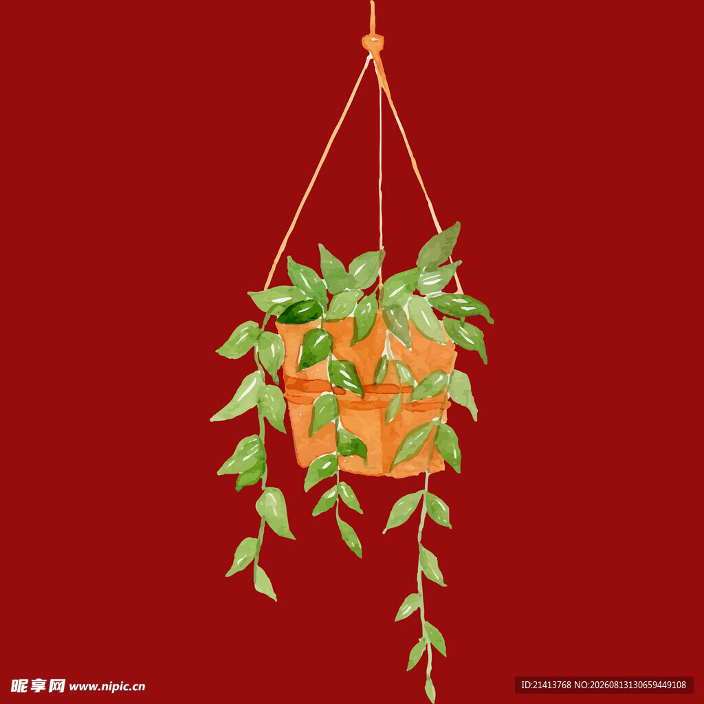 悬挂绿植盆栽生机盎然