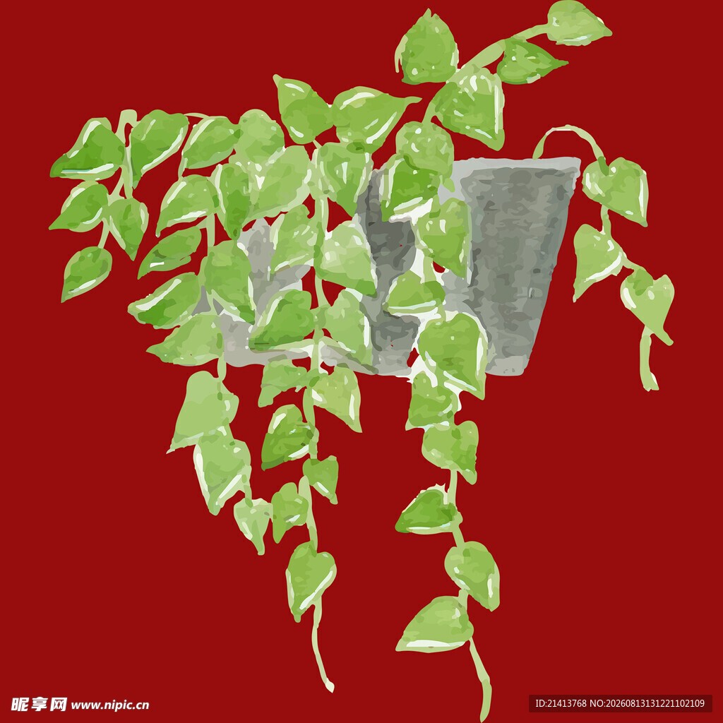 悬挂绿植装饰