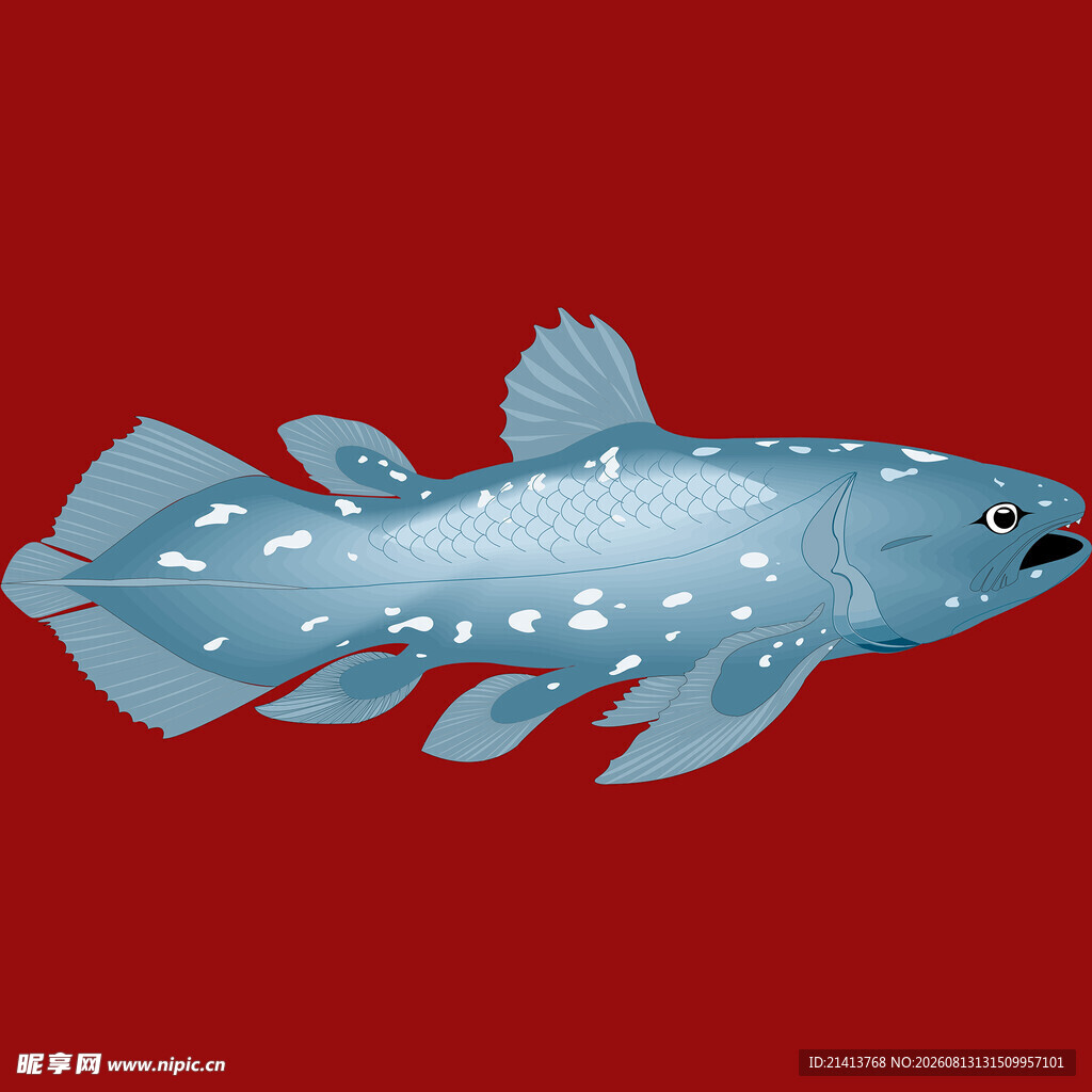 蓝色斑点鱼插画