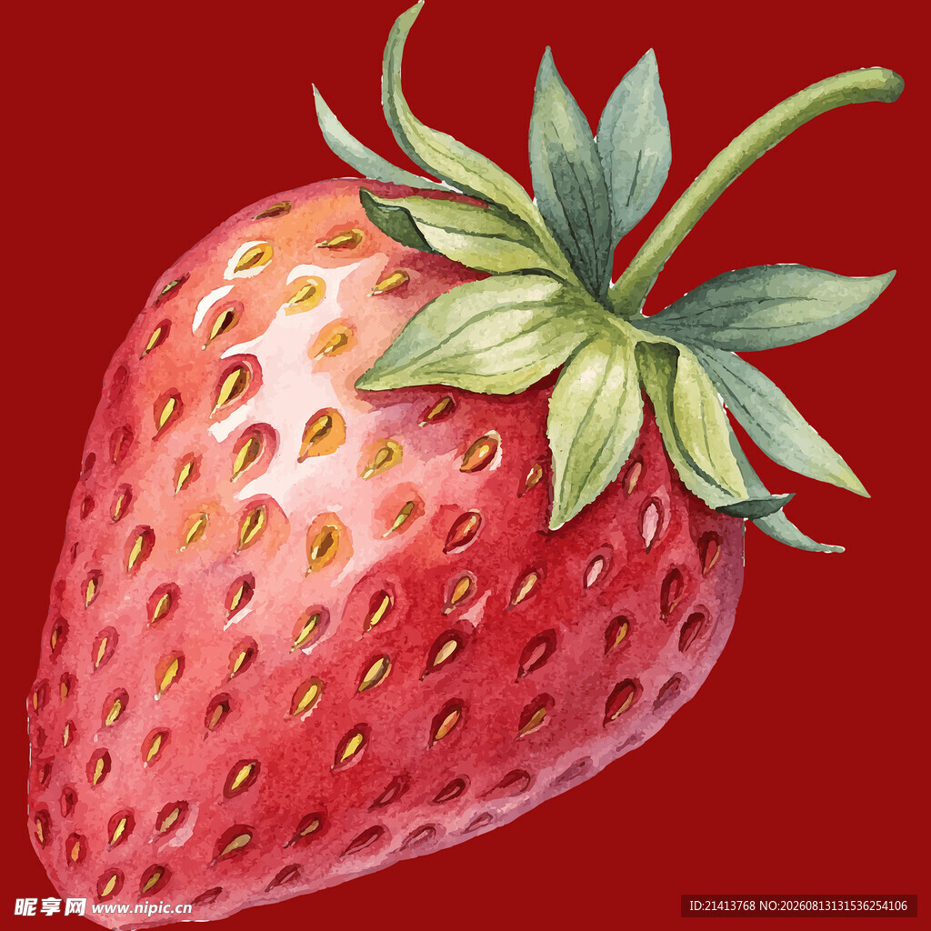 鲜红饱满草莓插画