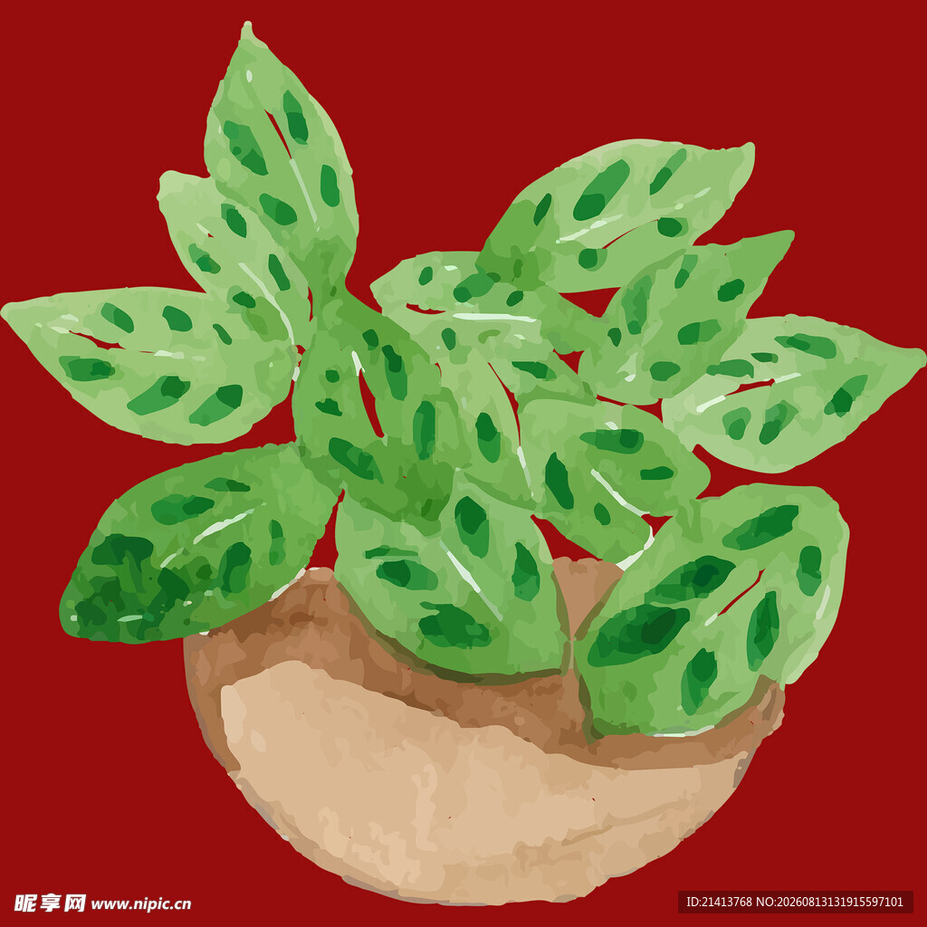 手绘盆栽绿植图