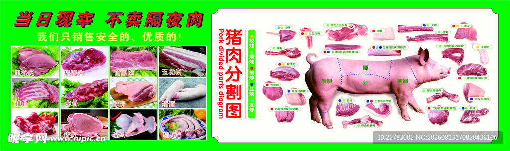 猪肉分解图