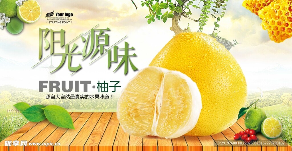 阳光味柚子水果展示