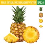 新鲜菠萝及其切片展示