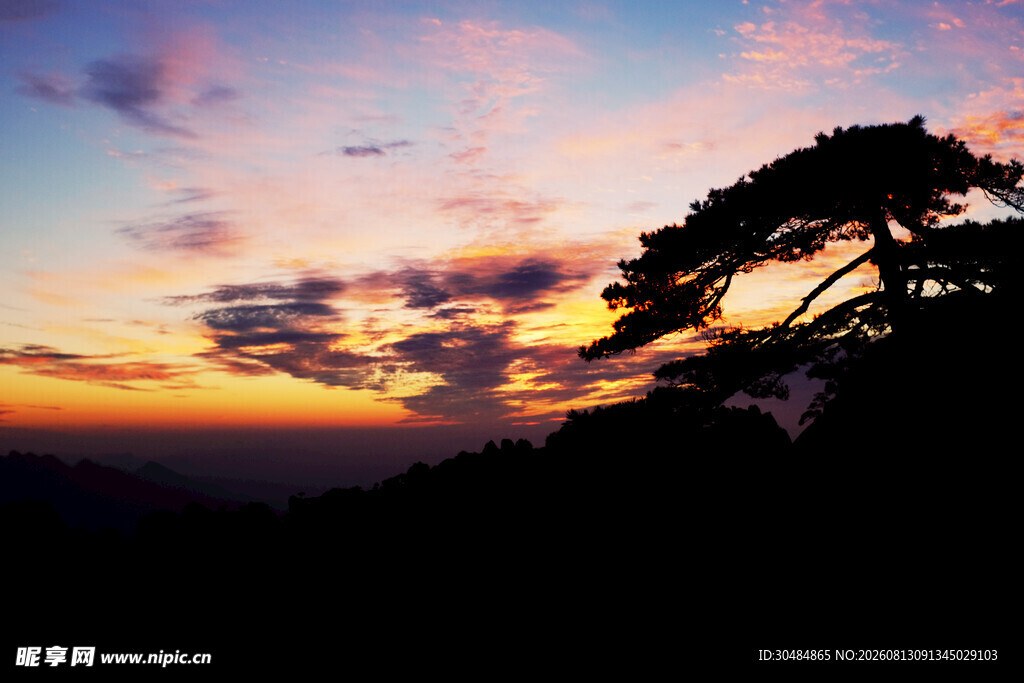 夕阳下的黄山孤松美景