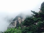 云雾缭绕的山间绿意