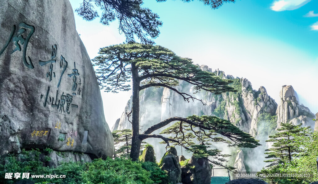 黄山迎客松景观
