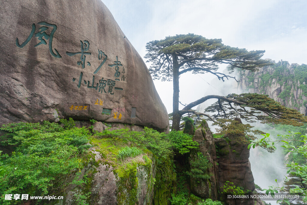 黄山奇峰旁的苍松景观