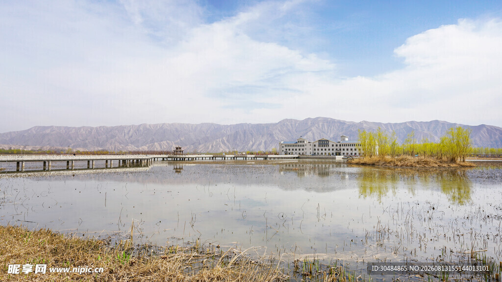水川黄河湿地公园