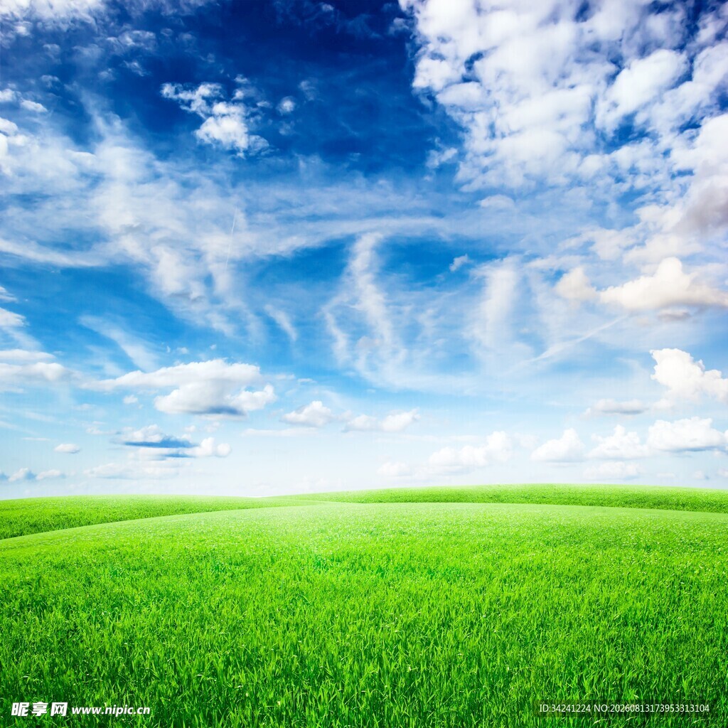 广袤绿野上的蔚蓝天空