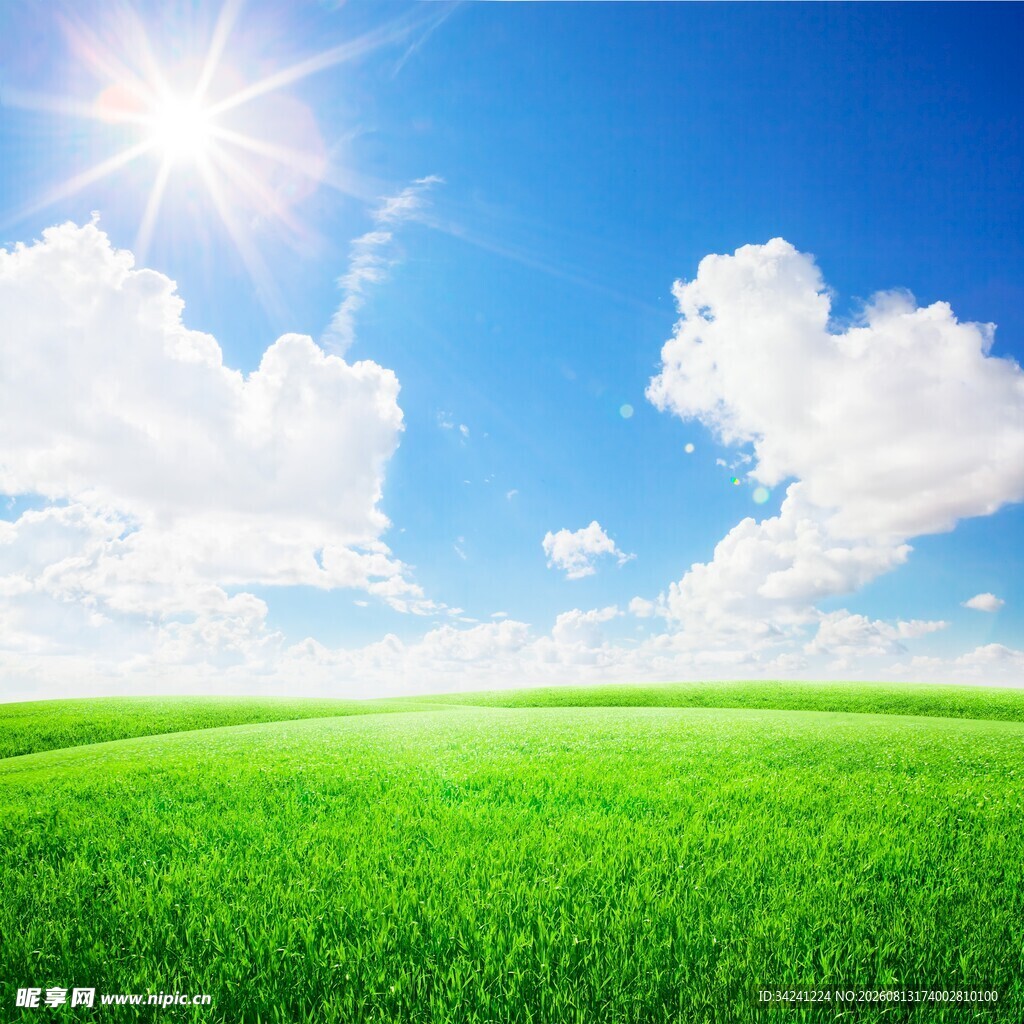 蓝天绿地阳光照耀的美景