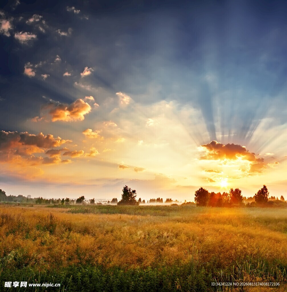 夕阳下的广袤田野美景