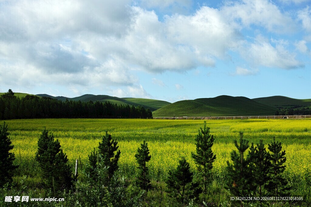 草原绿野与蓝天绿树美景