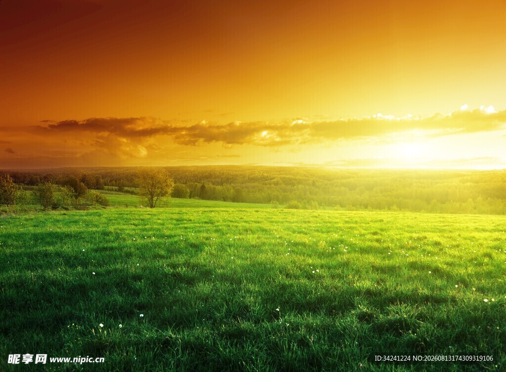 夕阳下的翠绿草原美景