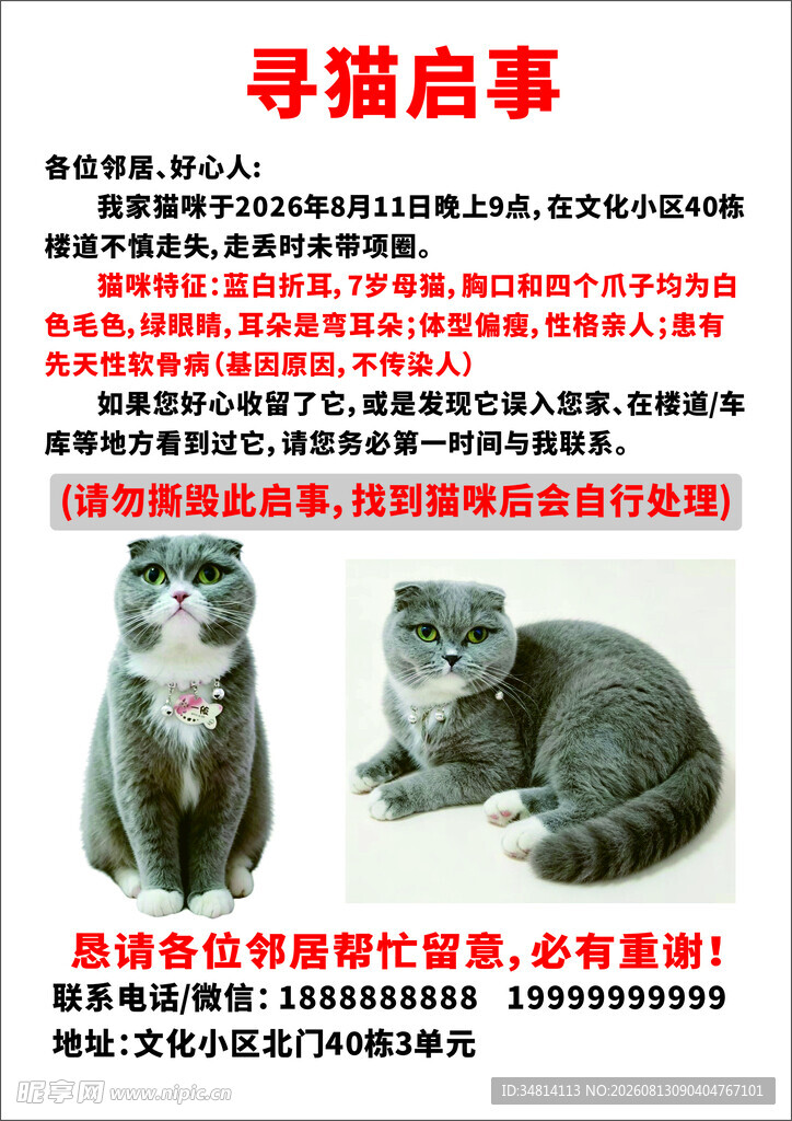 寻猫启示