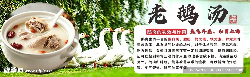 香浓老鸽汤 滋补好滋味