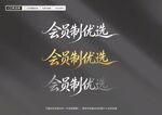 会员制优选文字展示