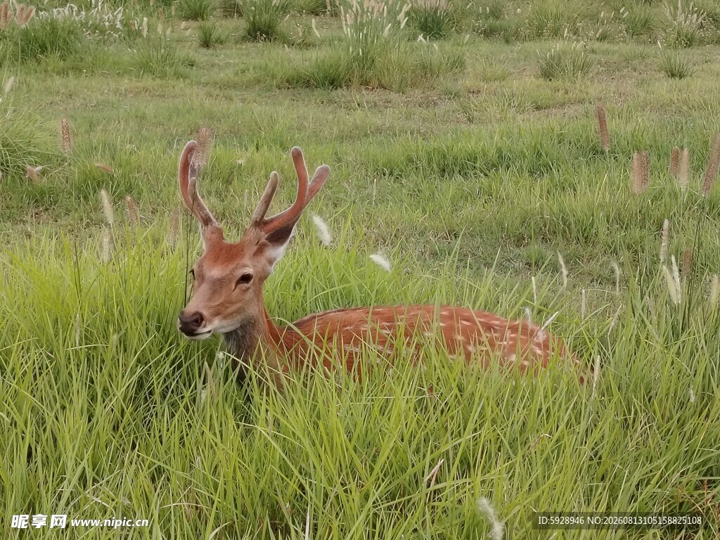 良渚遗址