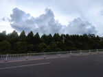 公路旁葱郁树林与天空