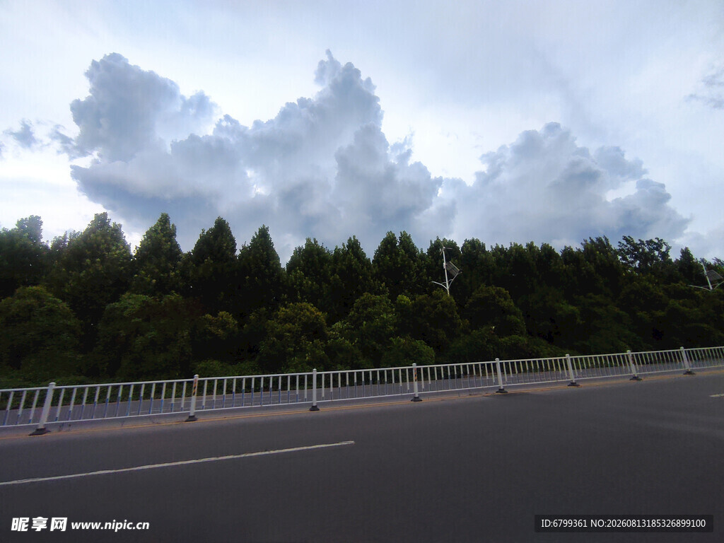 公路旁葱郁树林与天空