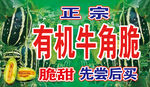 正宗有机牛角脆  先尝后买  