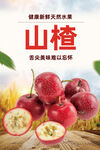 新鲜山楂