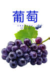 紫葡萄鲜果展示