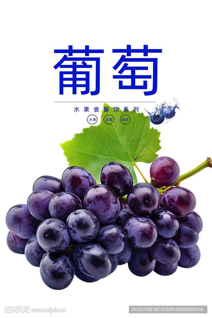 紫葡萄鲜果展示