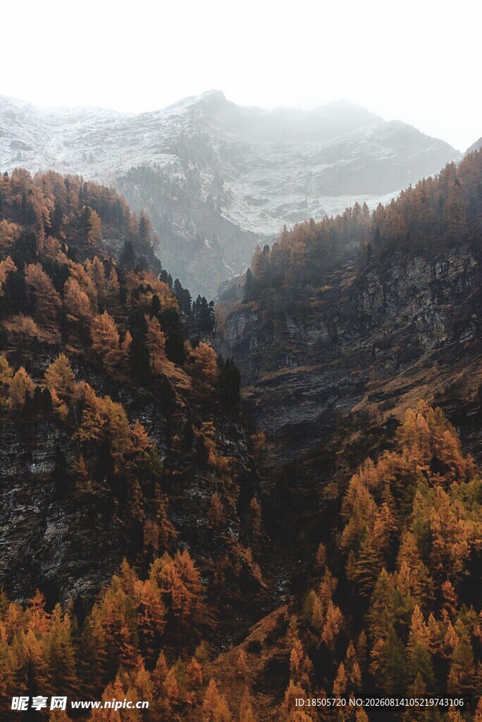 秋日山林壮丽景色