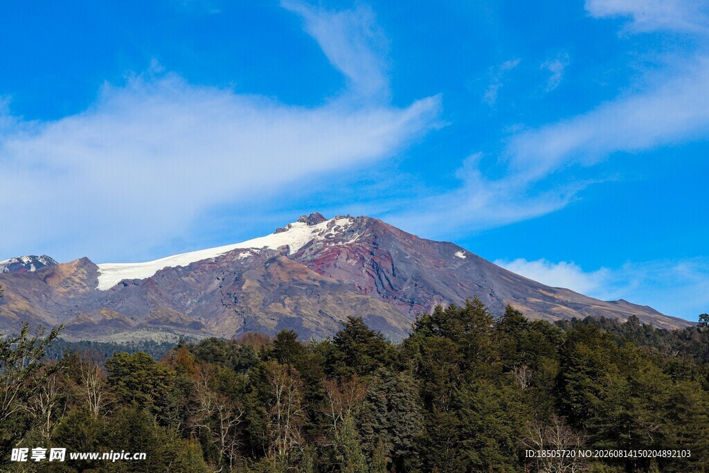 巍峨雪山下的茂密森林