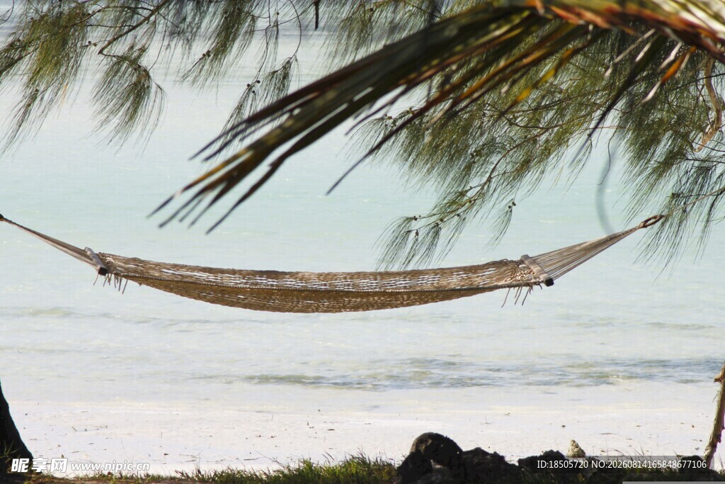 海边椰树下的悠闲吊床