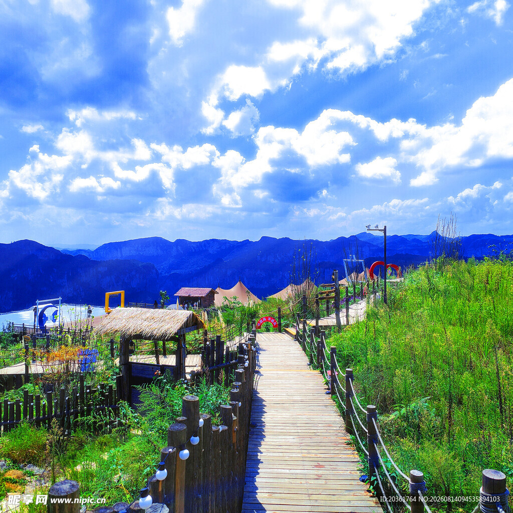 山间木栈道旁的美丽景致