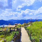 山间木栈道